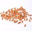 Picture of Almond kernels - Mamra, 500 gm