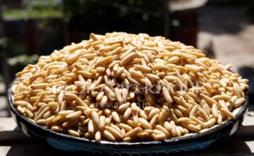 Show details for Chilgoza Pine nuts without shell, 250 gm Picture of Chilgoza Pine nuts without shell, 250 gm
